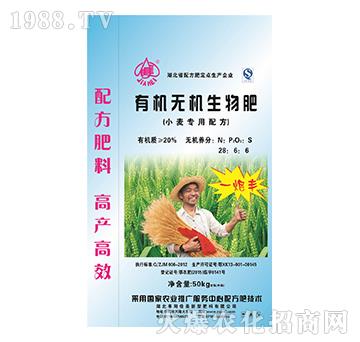 С����(zhu��n)���ЙC(j��)�o(w��)�C(j��)�����-һ���S-����