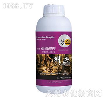 �~�������0-520-430+TE-�xҫ����