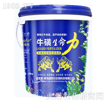 ����������-�@��Ԫ