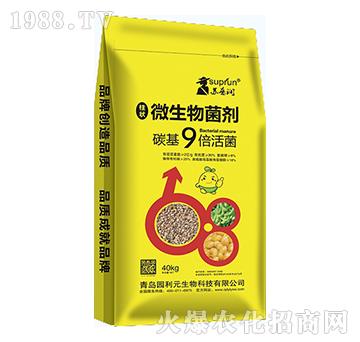 ̼��9�����-΢�������-�@��Ԫ