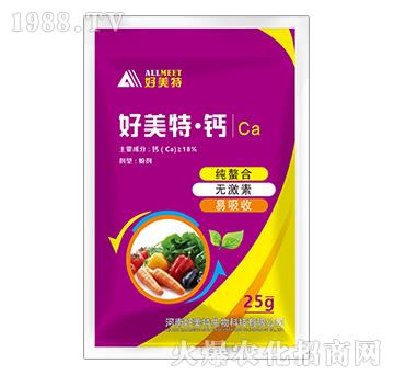 �����ء��}-������