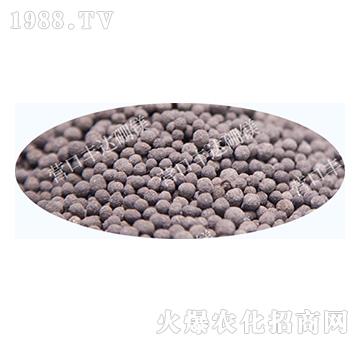 ��Ԫ���w����-�S�_��