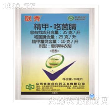 35��ÿ�����ס�������