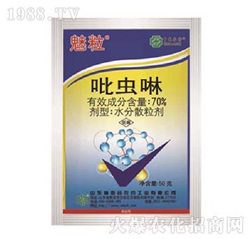 70%���x��-����-��