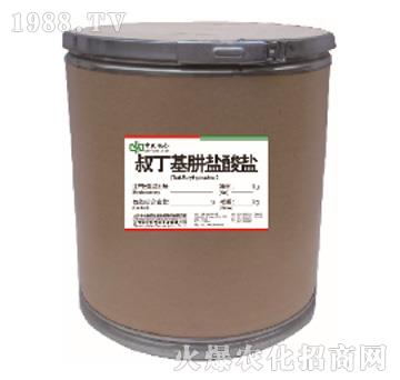 �嶡�����}���}-���r(n��ng)(li��n)��