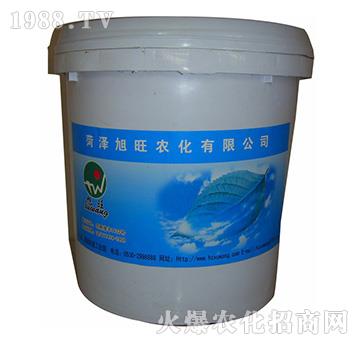 �����Ͳˌ�-�r�ɸ�