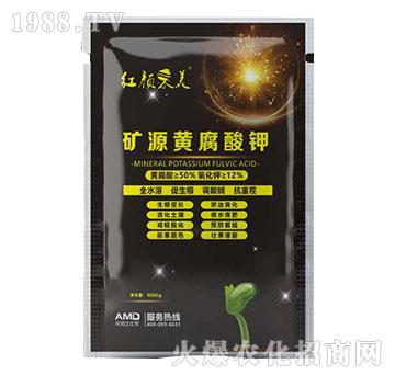 �VԴ�S�����-�t���-��ķ�_