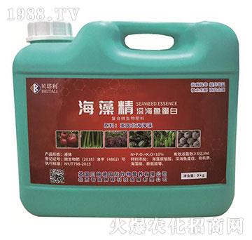 ���徫��~����-ؐ����