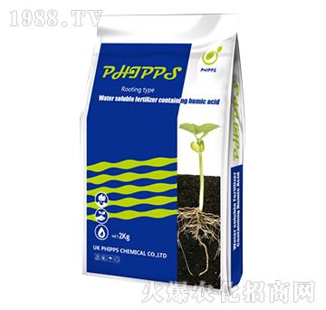 Ӣ���M�ڷ�����˹������-���r(n��ng)�S