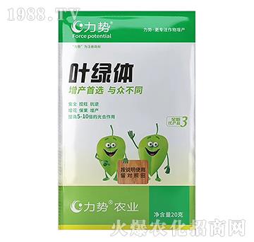 �~�G�w-����(sh��)-������