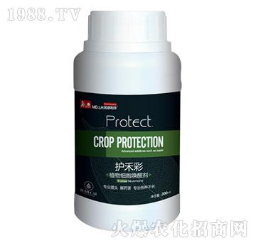 ֲ�：�����ф�-�o�̲�-������A