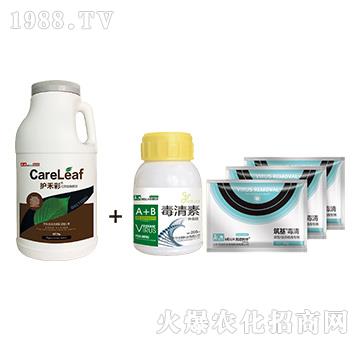 �o(h��)�̲�+����M��-���������η���-������A