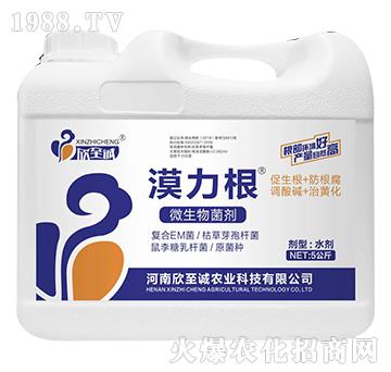 5����΢�������-Į����-�����\(ch��ng)