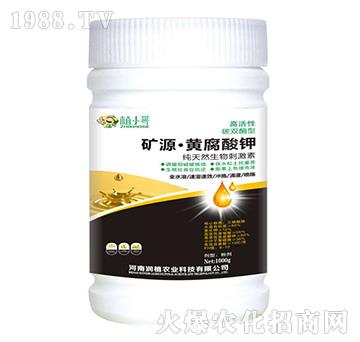 �VԴ�S�����-��(r��n)ֲ