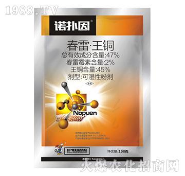 47%春雷·王銅-諾撲因-滬聯(lián)