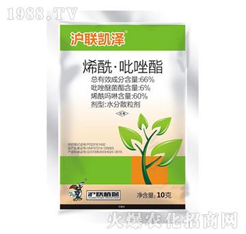 66%ϩ����������-��(li��n)�P��-��(li��n)