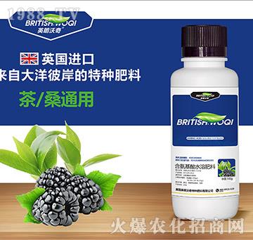 ��ɣ��(zhu��n)�ú�������ˮ�ܷ���-Ӣ������