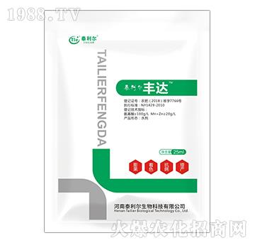 �S�_(d��)-̩����