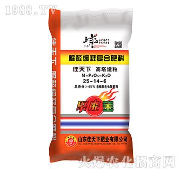 ��ȩ��ጏͺϷ���25-14-6-���S-������