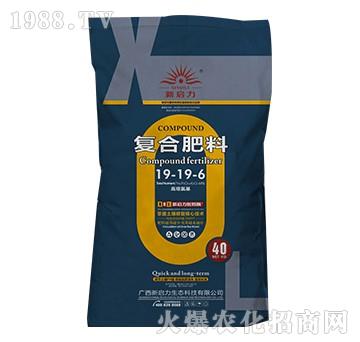 �ͺϷ���19-19-6-����