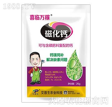 20g�Ż��}-ϲ�R�f(w��n)��-������