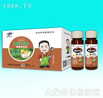 �[���⃞(y��u)�x-ϲ�R�f(w��n)��-������