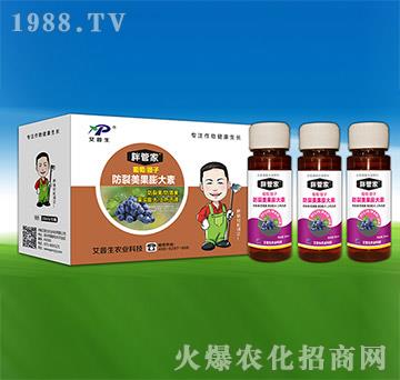 �������ӷ������������-�ֹܼ�-������