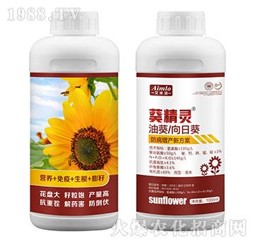 油葵/向日葵防病增產(chǎn)新方案-葵籽靈-艾米洛