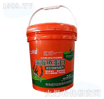 深海魚(yú)蛋白-土豐盛-威爾達(dá)