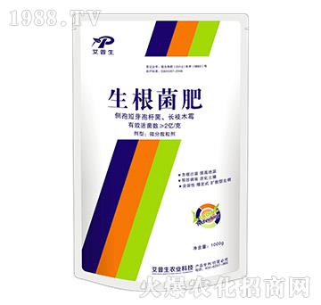 ��������--������