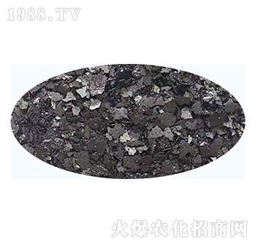 ��ɫƬ��徫-��ʢ����