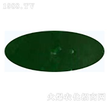 �GɫҺ�w������-��ʢ����