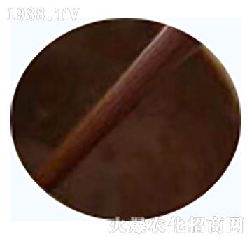 Һ�w�~����-��ʢ����