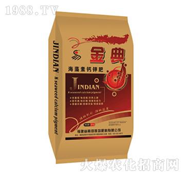 ���-��ʢ����