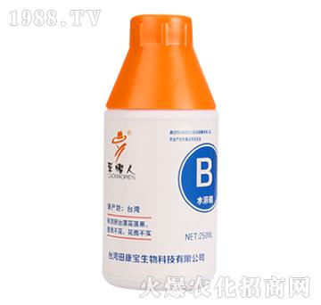 ˮ����-��ñ��-�￵��