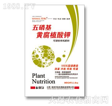 �������S��ֲ���-�f��