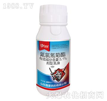 5.1%���������-����