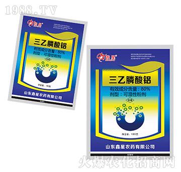 80%��������X-����