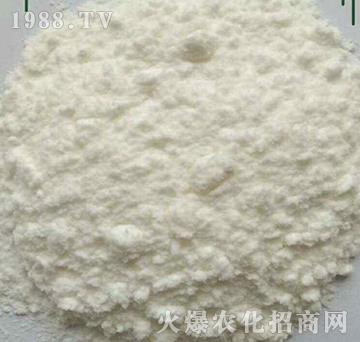 �����������-��(sh��)��