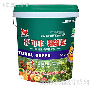 ̼ø������������-�����S��������-����