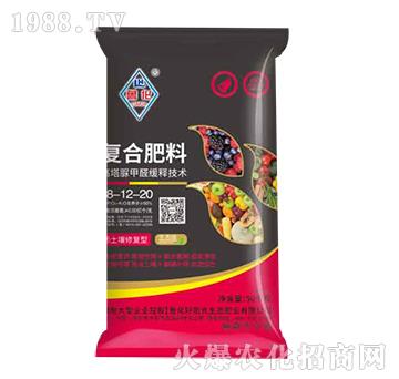 �ͺϷ���18-12-20-����