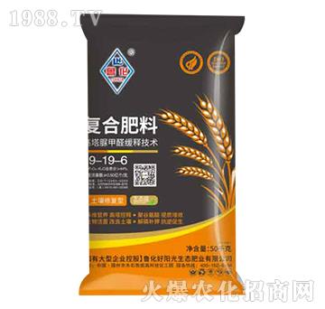 ��(f��)�Ϸ���19-19-6-����