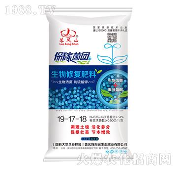 �����ޏ�(f��)����19-17-18-���Pɽ-����