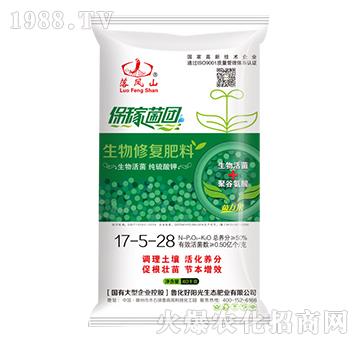 �����ޏ�(f��)����17-5-28-���Pɽ-����