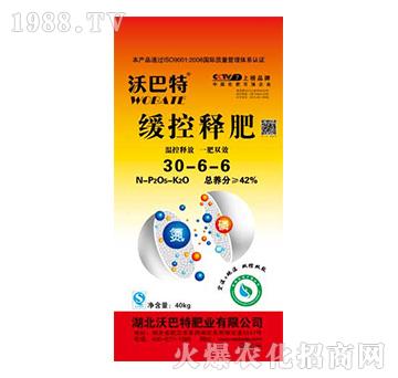 ����ጷ�30-6-6-�ְ���