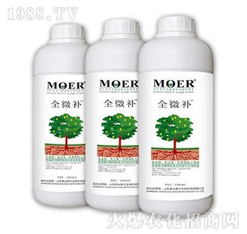 ȫ΢�a-Ħ������