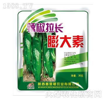 �������L�����-��˼�D