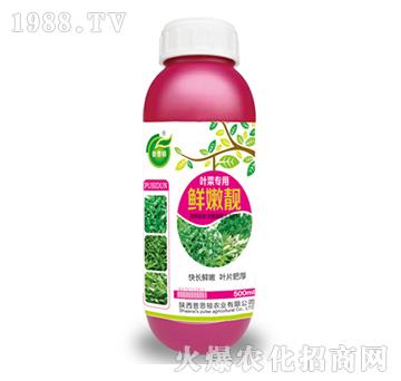 �~�ˌ����r���n-��˼�D�r�I(y��)