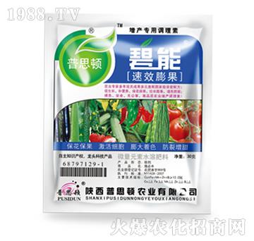 �����-����-��˼�D�r�I(y��)