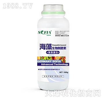 ��������̼��أ�1000g��-���Ɓ�